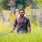 ilustrasi petani di sawah
